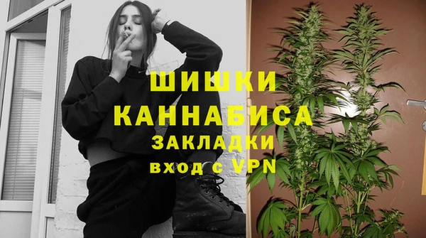 PSILOCYBIN Аркадак